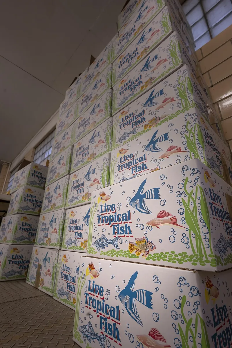 Your Logo, Their Factory: Who Really Owns the Product You're Selling?
